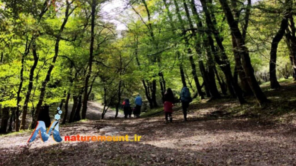 پیمایش-نارنجستان-به-بلیران-طبیعت-کوه-naturemount.ir