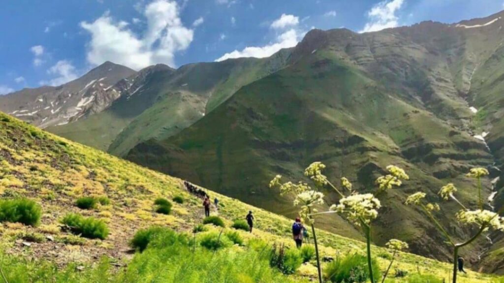 پیمایش-هنیز-به-عسل-محله-طبیعت-کوه-naturemount.ir